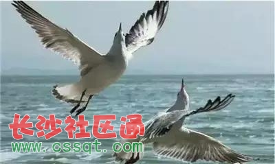 Їݵ7Сǣ҂(g)ط^